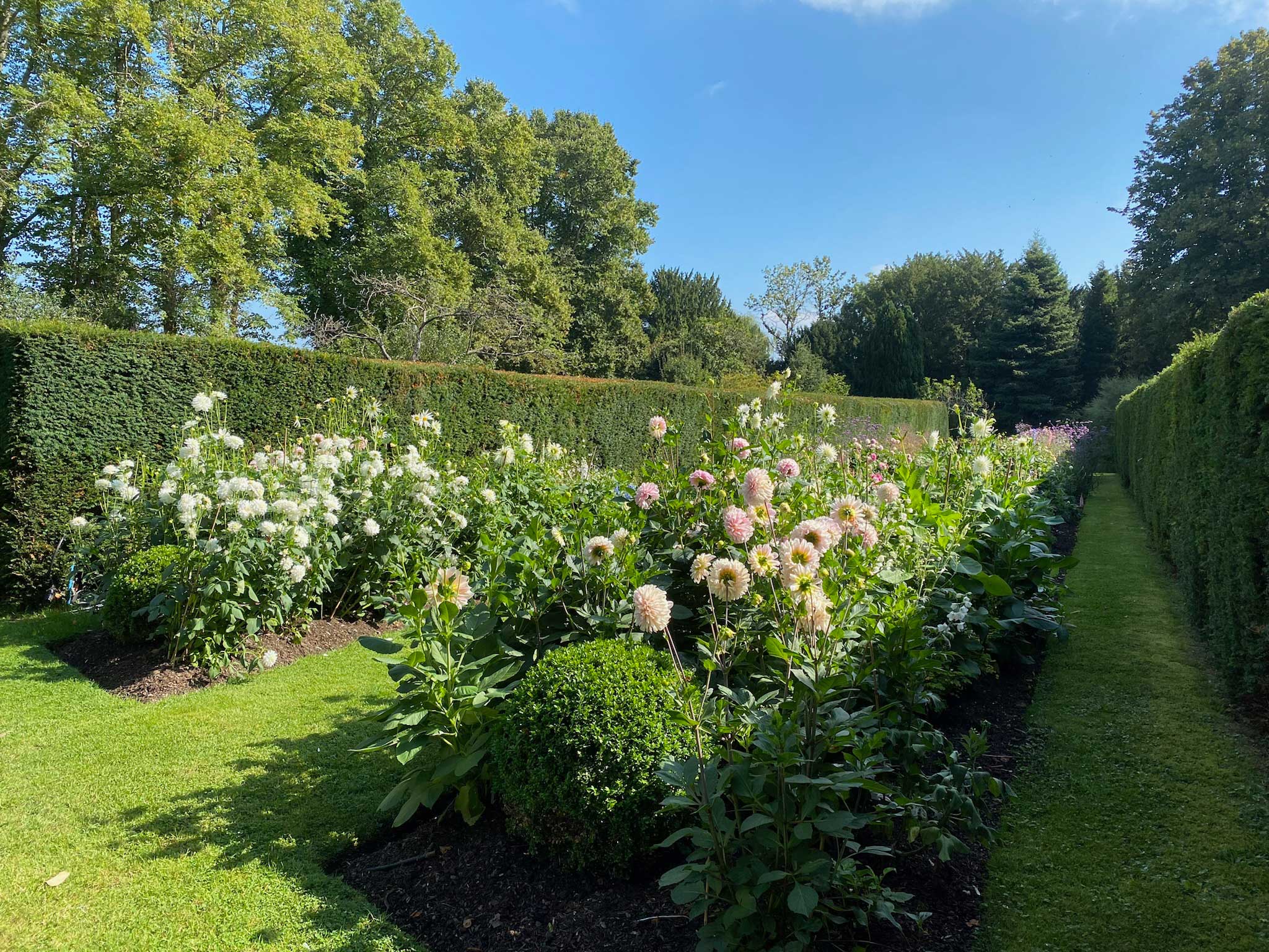 Herbaceous Borders